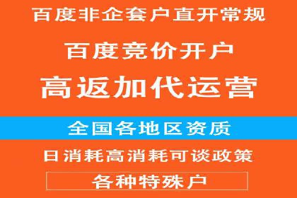 百度推广实战攻略：案例与策略